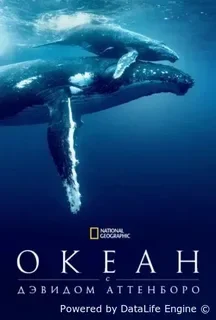 Дэвид Аттенборо: Океан